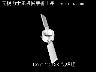 二叶斜桨